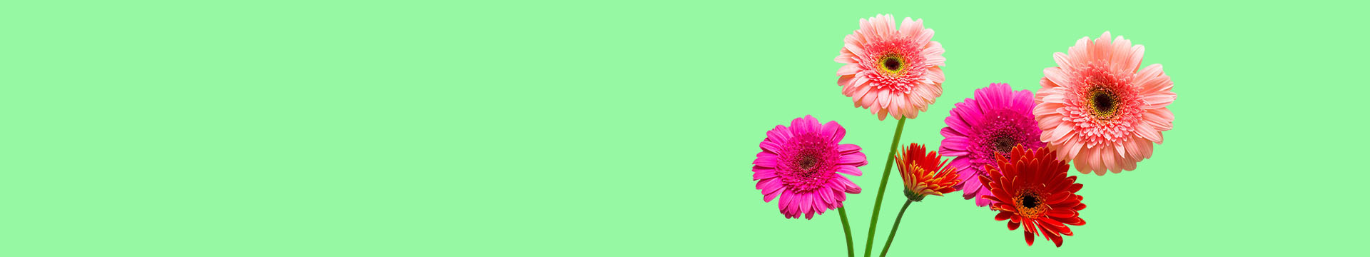 breadcrumb-img